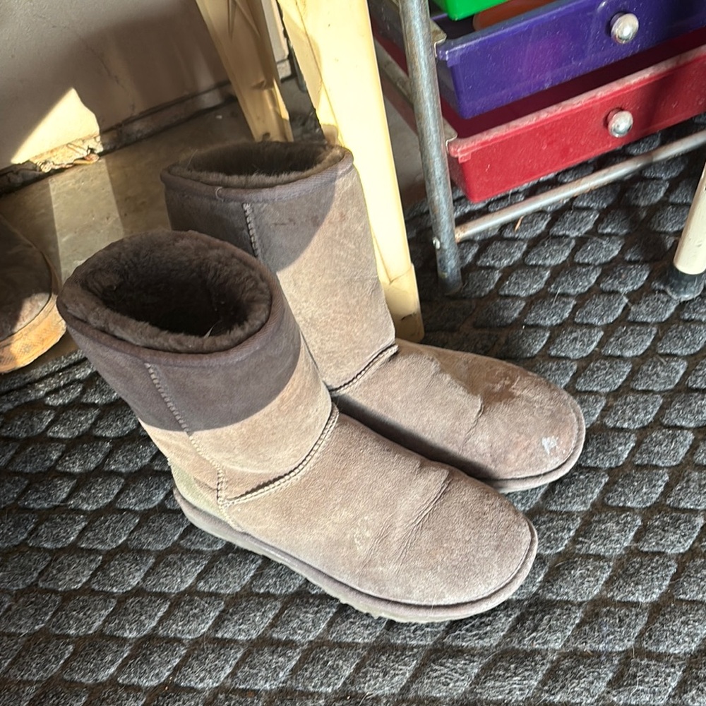 Women grey Ugg boots